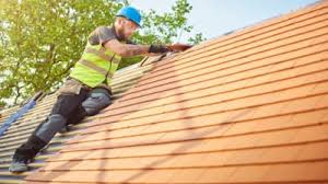 Best Roof Maintenance and Cleaning  in Dobson, NC